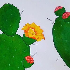 Meet your Posher, Bethany